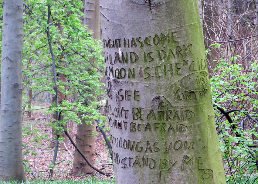 Ben E. King in Berlin - the lyrics of his famous song 'Stand by Me' engraved into a tree in Tiergarten