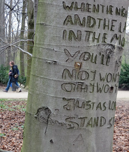 Berlin secret sights: the 'Stand by Me' tree