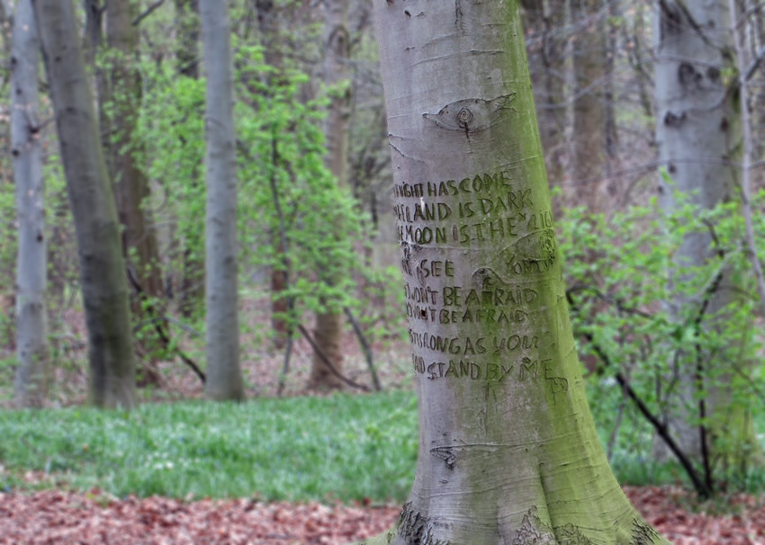 The 'Stand by Me' tree in Berlin's Tiergarten Park