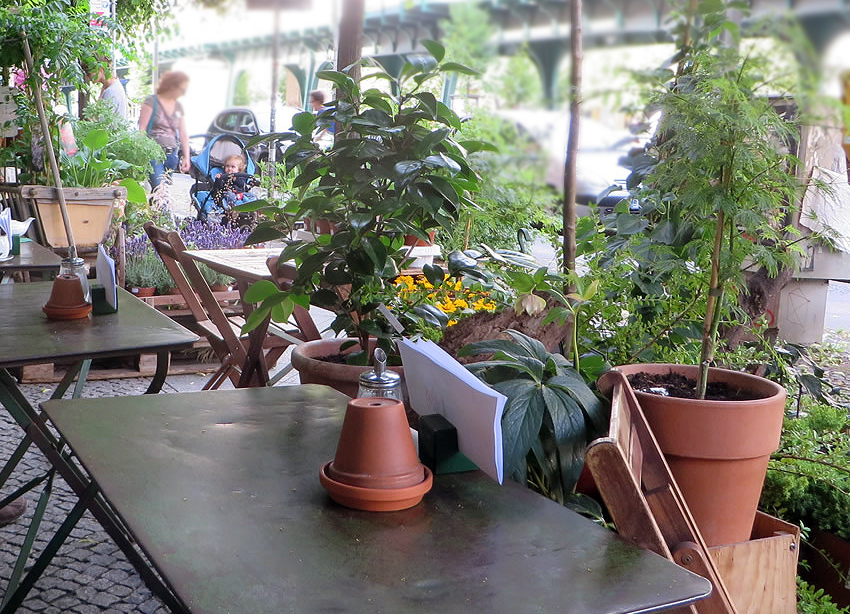 Berlin's Blumencafe is both a plant and flower store and a cafe