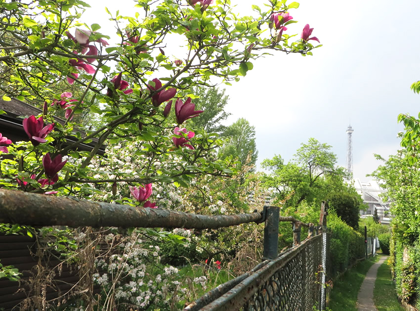 Country views - in the heart of Berlin