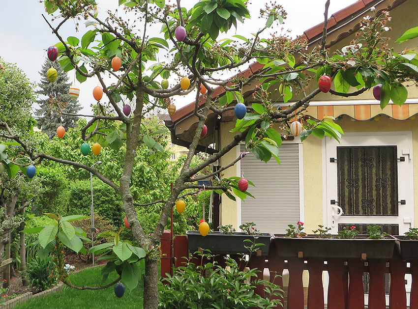 Berlin's hidden gem: allotment gardens at Easter