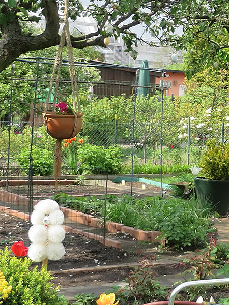 Berlin's lovely allotment gardens are a hidden treat