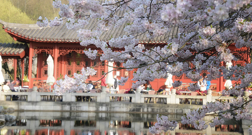 Chinese garden at Berlin's Gardens of the World