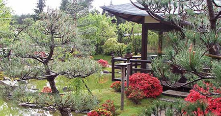 Japanese Bonsai garden, Berlin