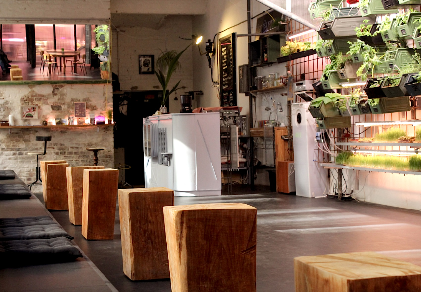 Berlin's Infarm cafe, where fresh green produce is grown inhouse using a system of hydroponics