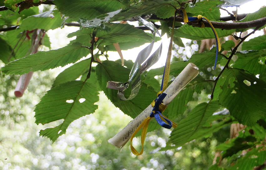 A message hangs from Berlin's Wish Tree or Wunschbaum....