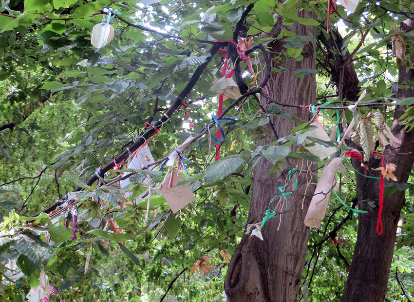 A tree of wishes in a Berlin park