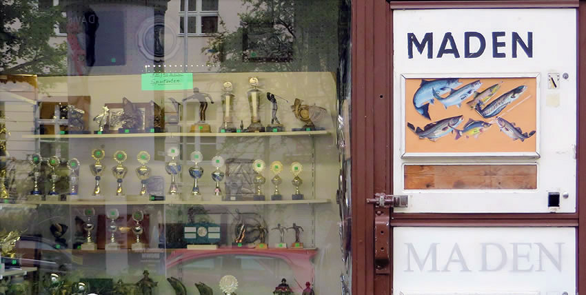 A vending machine for maggots, Berlin