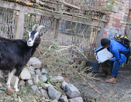 A city farm, green space and kids' playground