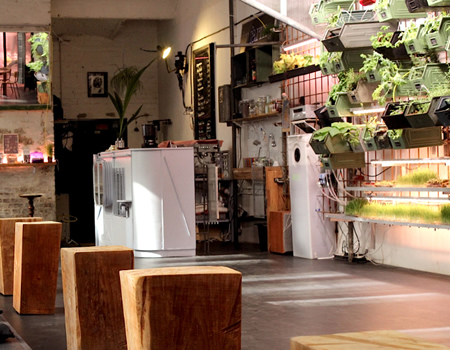 Indoor farming at Berlin's Infarm cafe