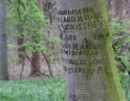 Ben E. King's romantic classic carved into a tree in Tiergarten