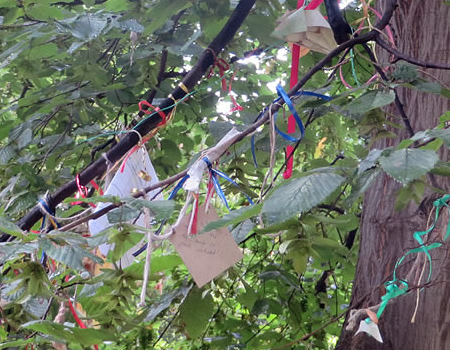 Berlin's Wunschbaum, or wish tree