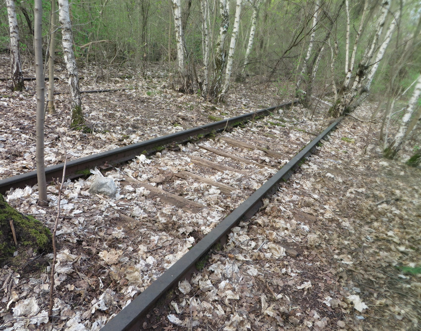 Abandoned railway tracks, Gleisdreieck Park, Berlin