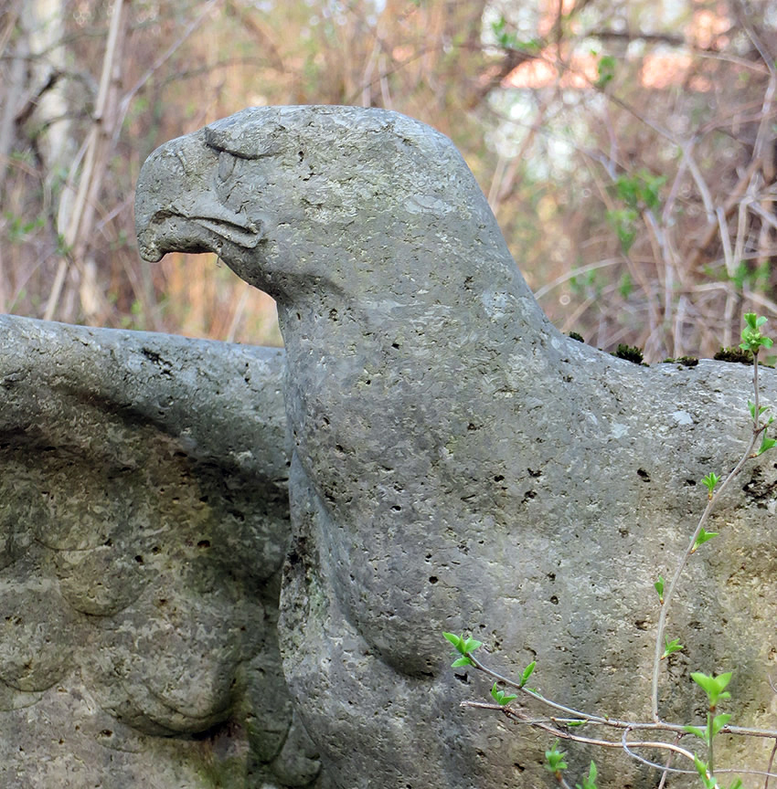 Berlin's hidden secrets: a majestic stone eagle, abandoned in undergrowth beside a road