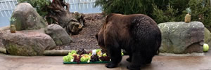 Not in the zoo - Berlin's mascot bear is on view in one of the city's small parks