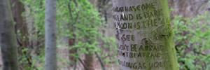 Stand by Me, engraved into a Berlin tree trunk